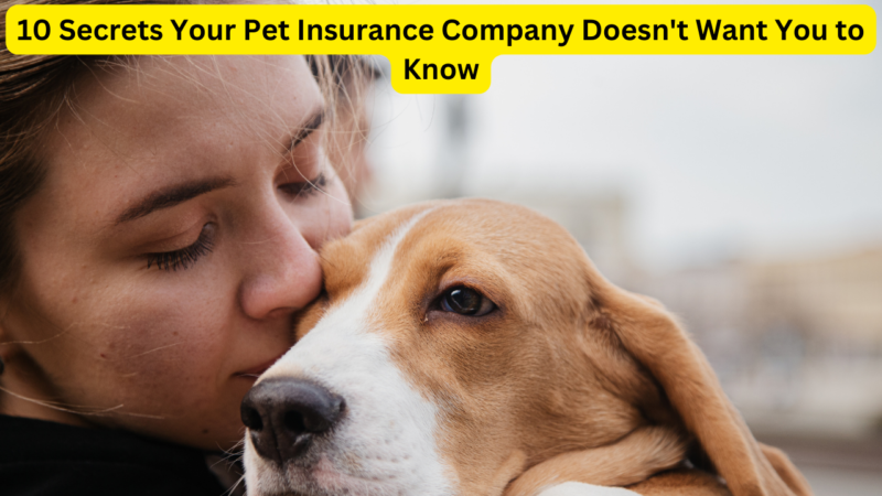 10 Secrets Your Pet Insurance Company Doesn’t Want You to Know