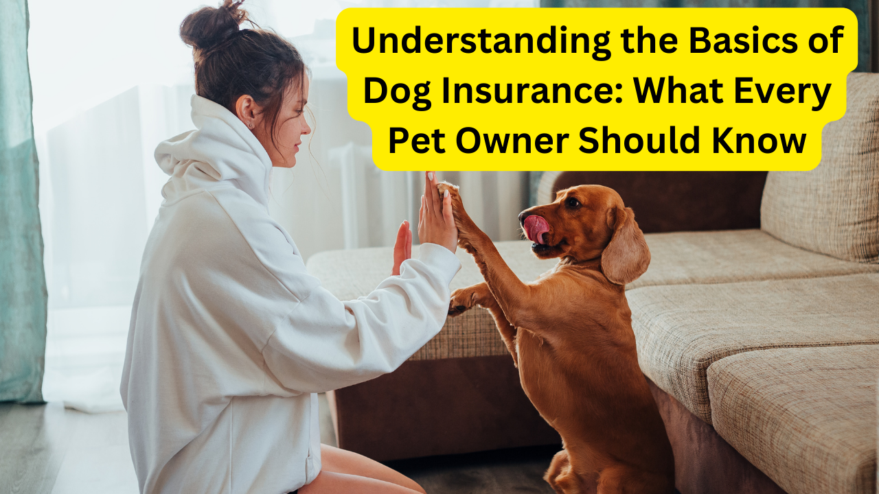 Understanding the Basics of Dog Insurance: What Every Pet Owner Should Know